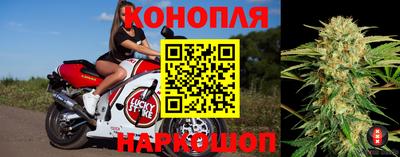 ешки Аргун