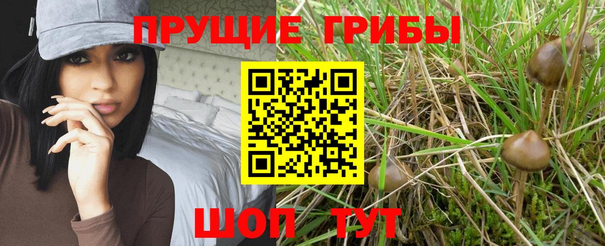 Псилоцибиновые грибы MAGIC MUSHROOMS  Вход с VPN  Галлюциногенные грибы GOLDEN TEACHER  что такое   Белово 